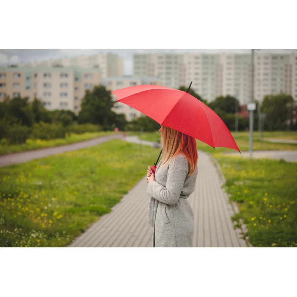 Regenschirm, automatisch | Dwight – Bild 3